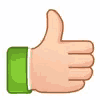 Thumbs Up Okay GIF