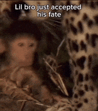 Trizzy Trizzy019 GIF