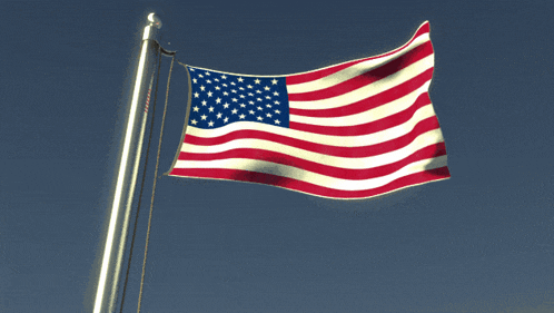 Usa Navy GIF