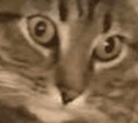 Vietnam Flashback Traumatized GIF