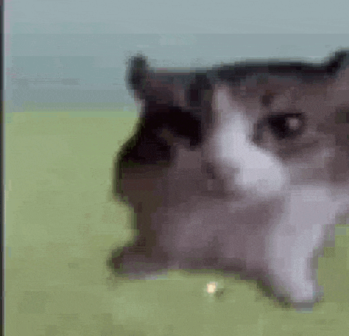 Wake Up GIF