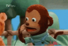 What Monkey GIF