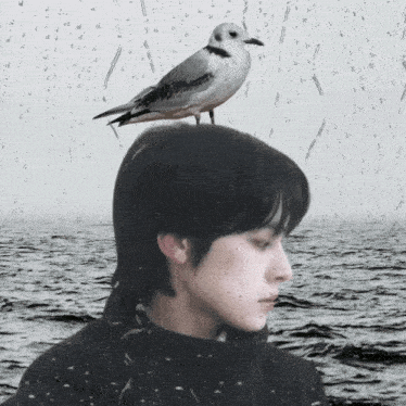 Wishpilled Nct Wish Riku GIF