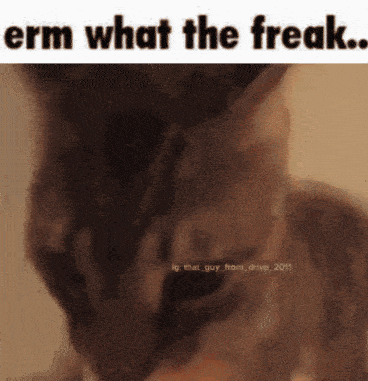Wtf Wtf Gif GIF