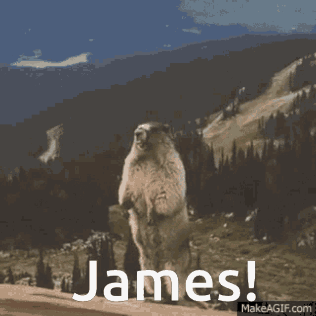 Yelling James James GIF