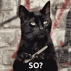 Yes So GIF