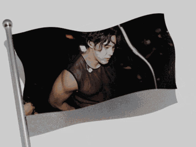 29gae Mingyu Tiddies GIF