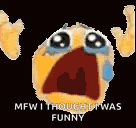 Ahoklollmao Noooo GIF GIF