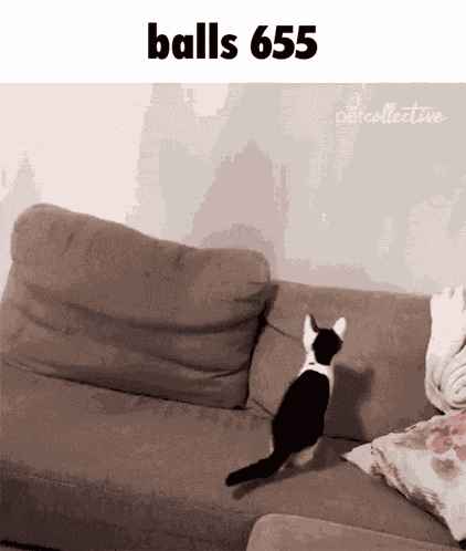 Balls 655 GIF