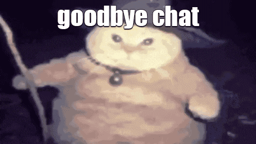 Bye Wizardcat GIF