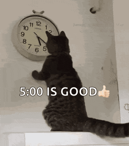 Cat Changing The Clock Changing The Time GIF GIF