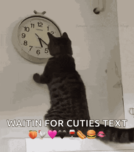Cat Changing The Clock Changing The Time GIF GIF