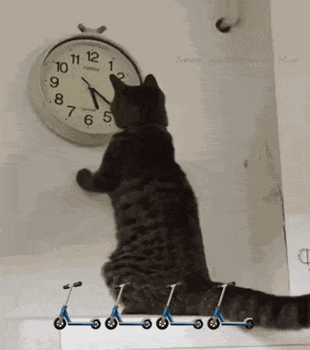 Cat Changing The Clock Changing The Time GIF GIF