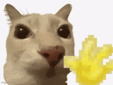 Cat Meme Wave Emoji GIF