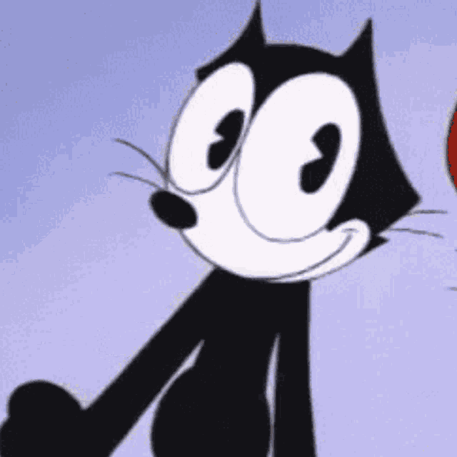 Cat The Felix Cute GIF