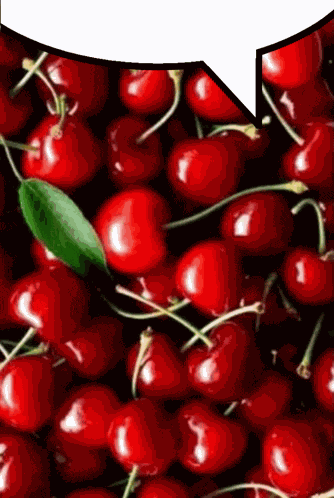 Cherries Speech Bubble GIF