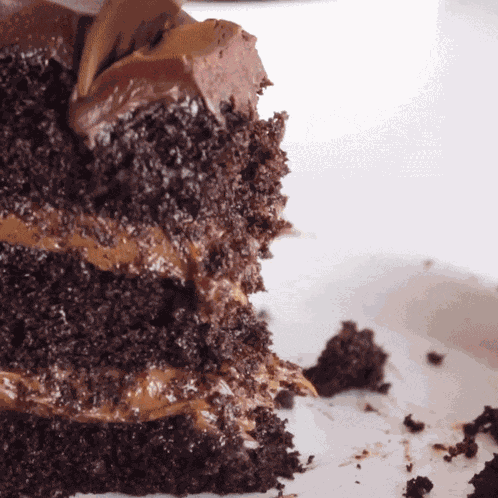 Chocolate Cake Dessert GIF