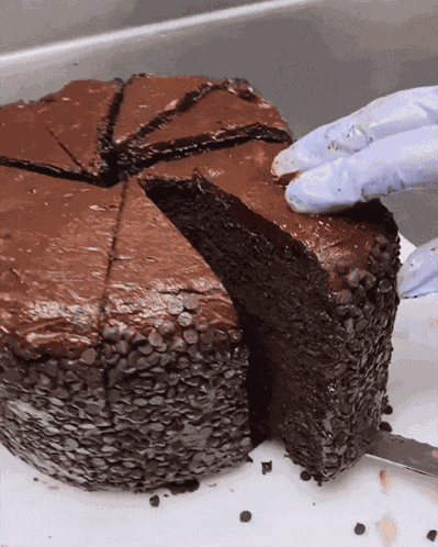 Chocolate Cake Food GIF