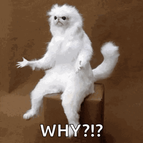 Confused White Persian Guardian GIF