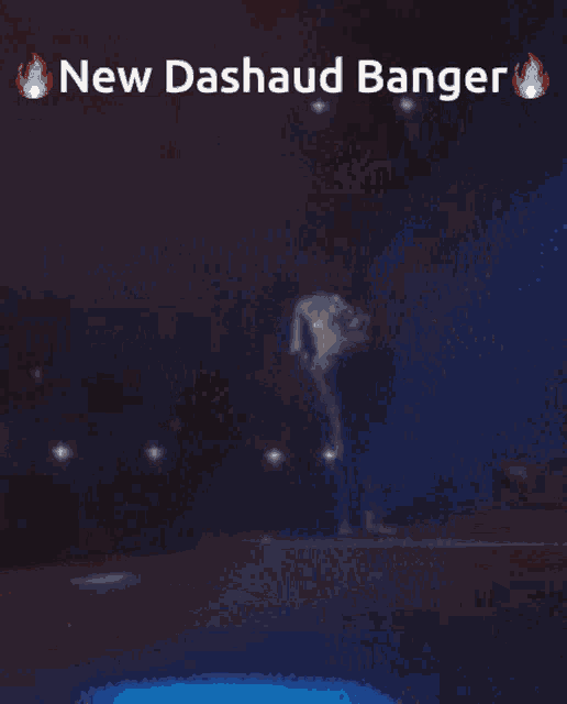 Dashaud New Dashaud Banger GIF