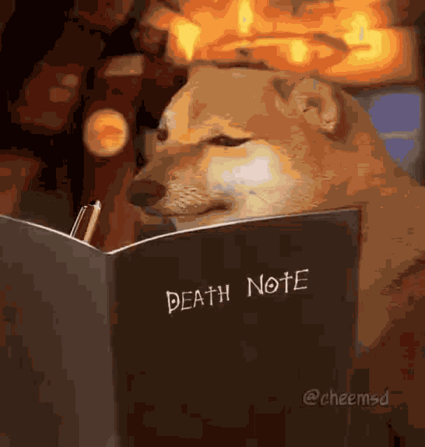 Death Note GIF