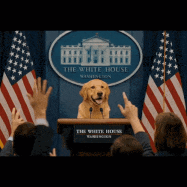 Dog In White House President Air Bud GIF