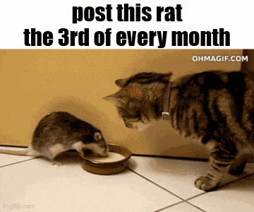 Essica Monthly GIF
