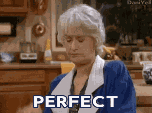 Excellent Perfect GIF