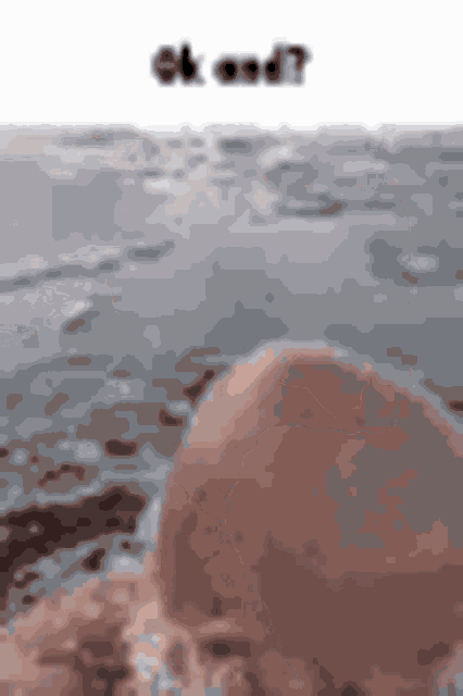 Foekoe Foekoe Gaming GIF