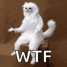 Goatplaybanjo Wtf GIF