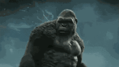 Godzilla X Kong The New Empire Gxk GIF