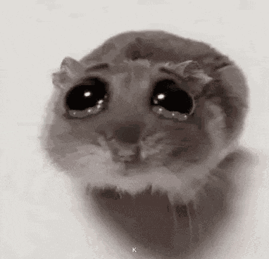 Hamsti Hamster GIF