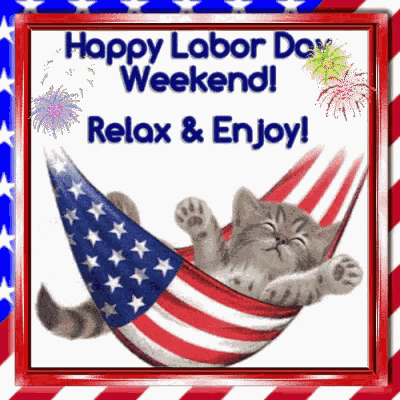 Happy Labor Day Weekend Kitten GIF