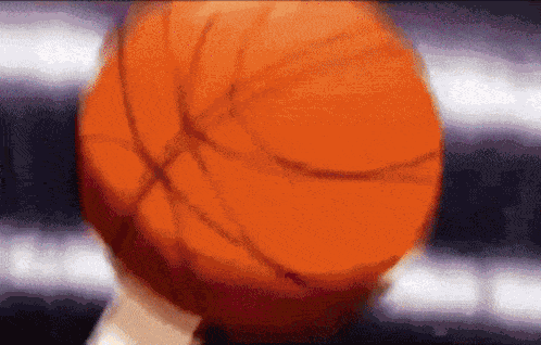 Harry Nikolopoulos GIF