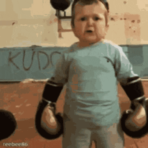 Hazbik Mortal Combat GIF