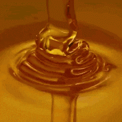 Honey Sweet GIF