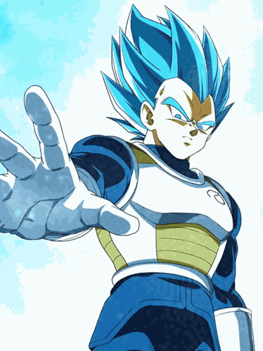 Int Super Saiyan God Ss Goku Super Saiyan God Ss Vegeta Divine Combat Begins GIF
