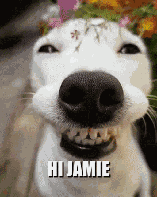 Izzy Says Hi Hi Jamie GIF
