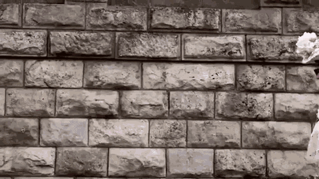 Karolina Zebrowska Thug Edwardian Lady GIF