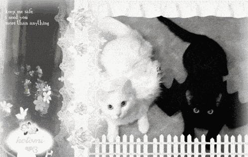 Kotomi Kotomirai GIF