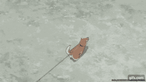 Laid Back Camp Yuru Camp GIF