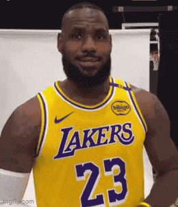Lebron James Shocked Face GIF