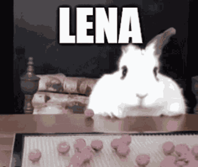 Lena Lena When GIF