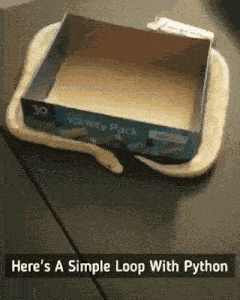 Loops In Python GIF