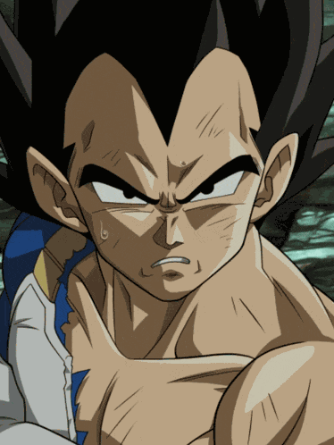 Lr Agl Super Saiyan God Ss Goku And Super Saiyan God Ss Vegeta All Out Final Battle GIF