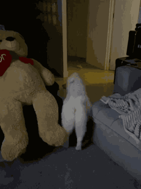 Maluviana Dog GIF