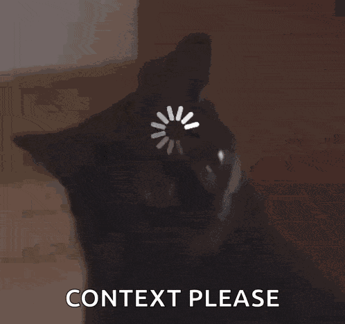 Midnight The Cat Stopped Working Cat Meme GIF