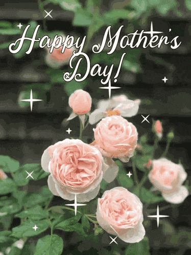 Mothers Day Flower GIF