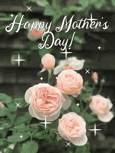 Mothers Day Flower GIF