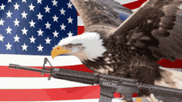 Murica Merica GIF